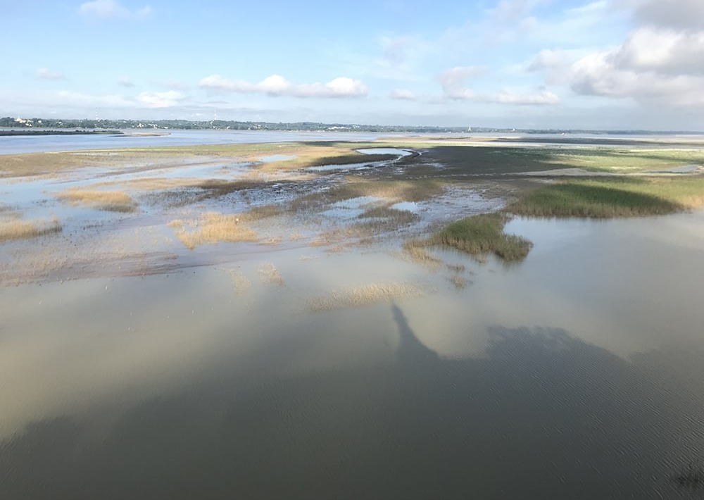 Important alluvial plain near Magway, photo by Fauna and Flora International