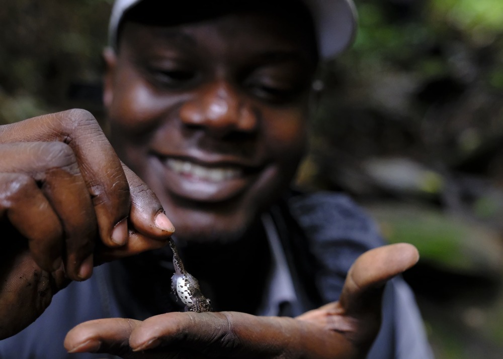 Dr. Caleb Ofori-Boateng, founder of HERP Conservation Ghana