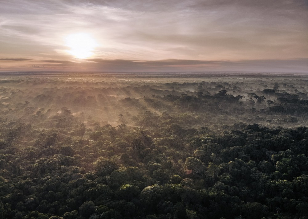 The tropical peatlands of Democratic Republic of the Congo, by Alexis Huguet