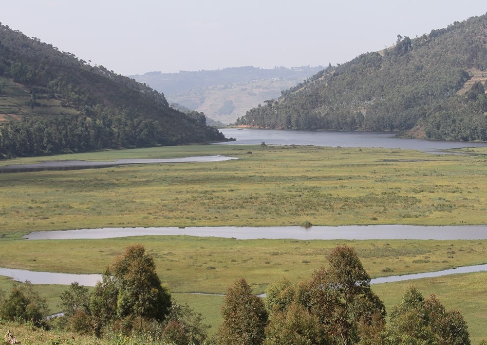 The Rugezi Marsh, courtesy RWCA