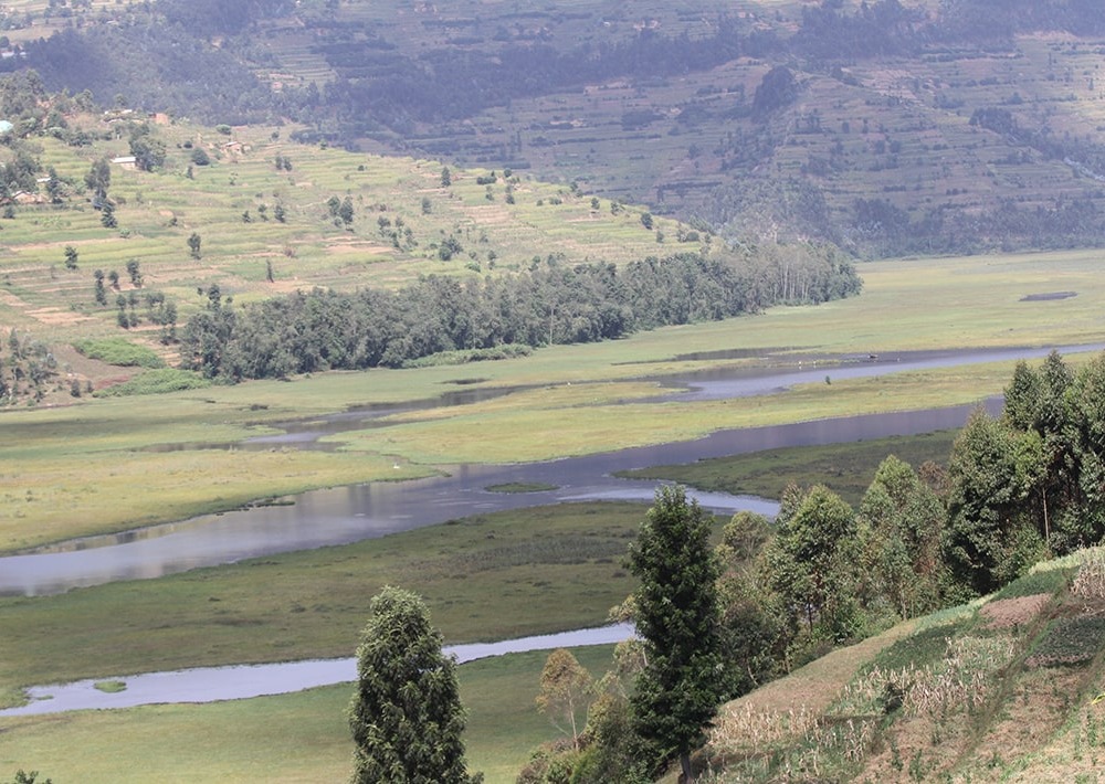 The Rugezi Marsh, courtesy RWCA