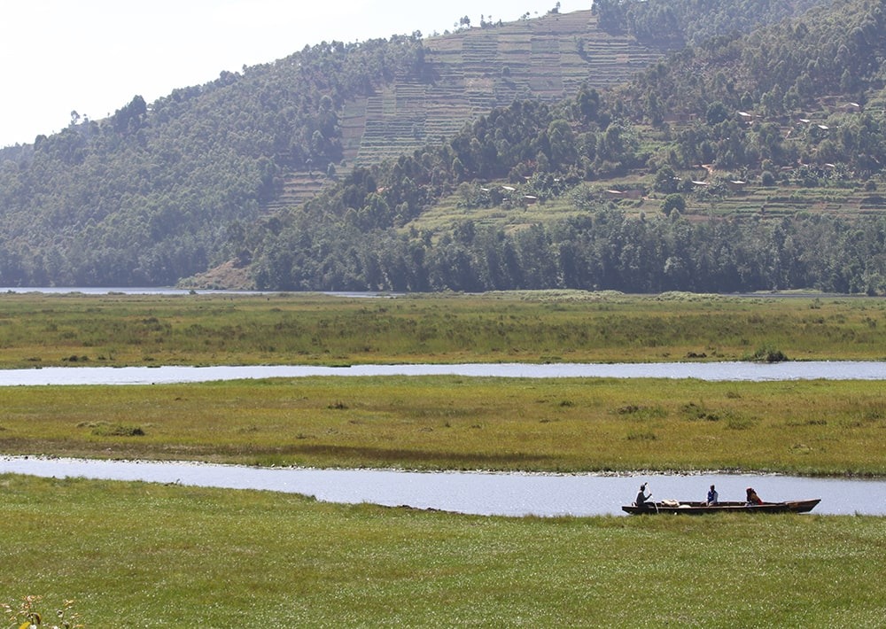 The Rugezi Marsh, courtesy RWCA