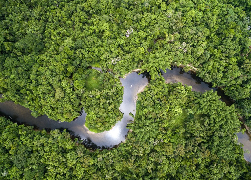 Brazilian Amazon Rainforest, photo by Gustavo Frazao