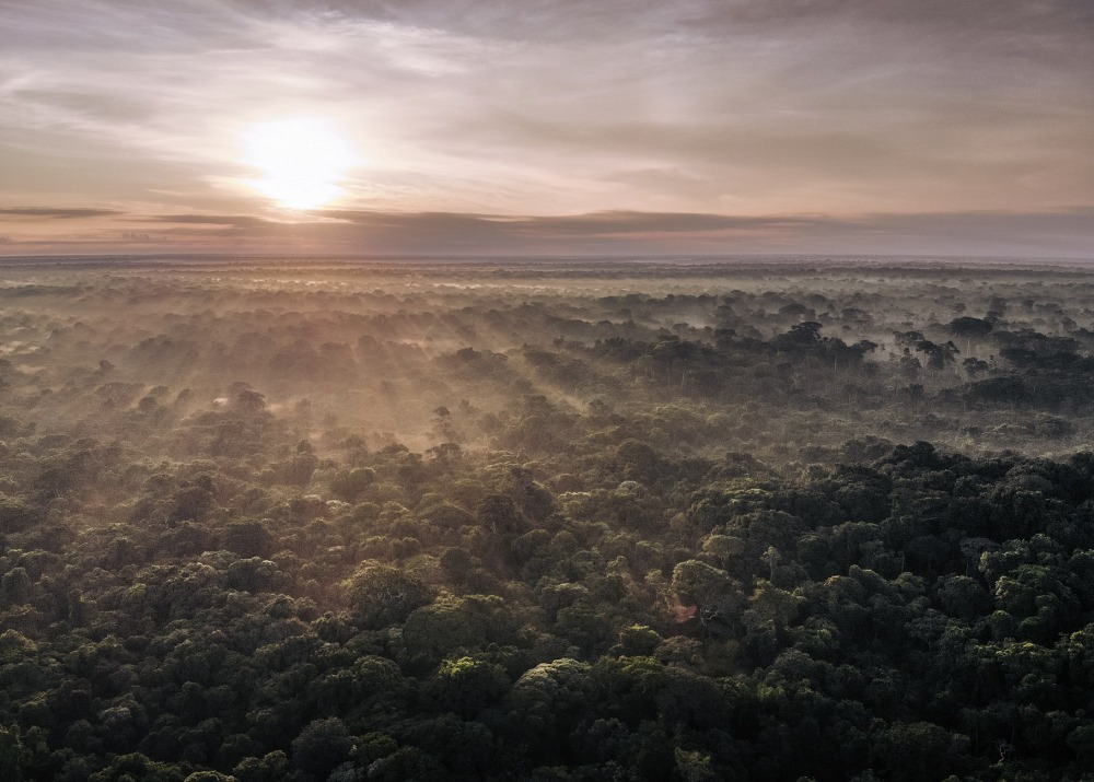 The tropical peatlands of Democratic Republic of the Congo, by Alexis Huguet