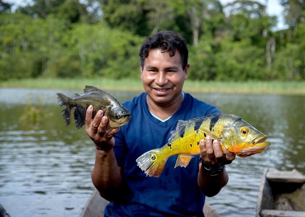 Freshwater fish from the Putumayo river, by Guillermo Abadie