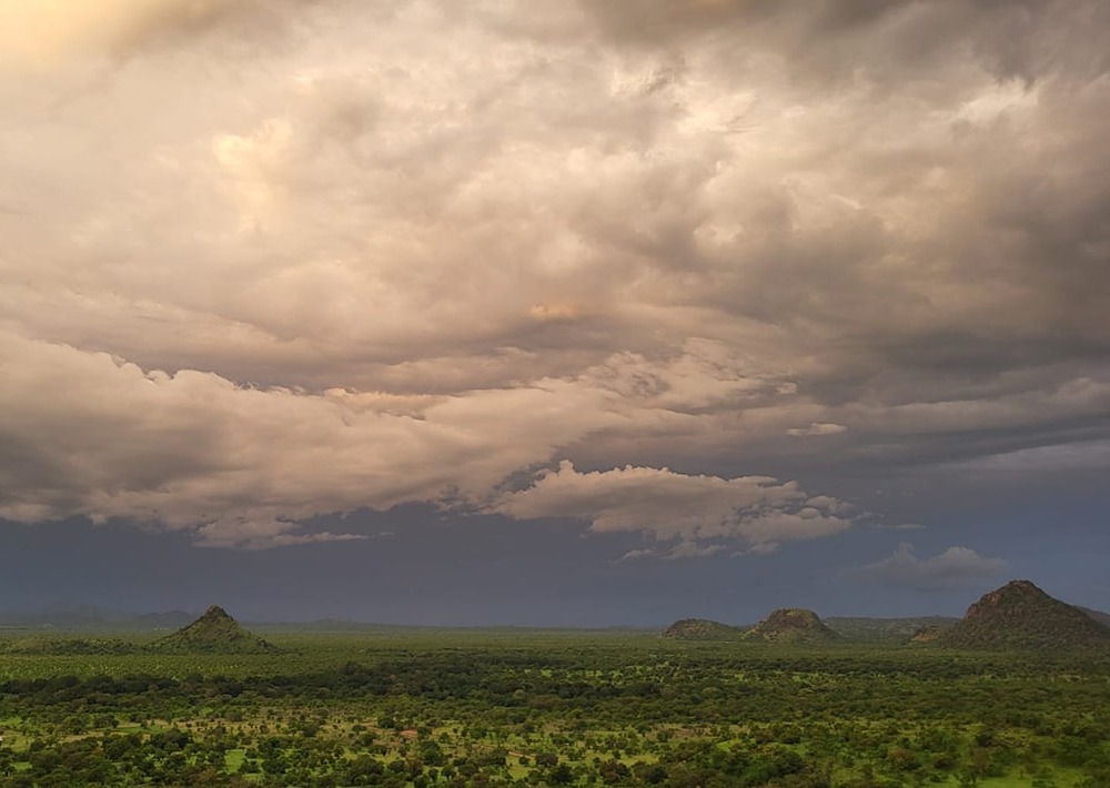 The project landscape in South Sudan, courtesy of African Parks