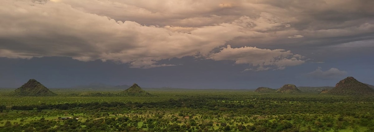 The project landscape in South Sudan, courtesy of African Parks