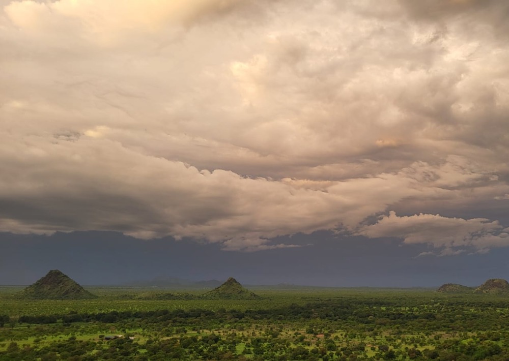 The landscape of Boma and Badingilo National Parks, South Sudan, courtesy African Parks/© Marcus Westberg