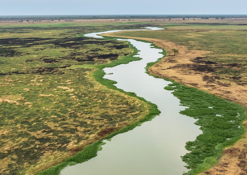 The landscape of Boma and Badingilo National Parks, South Sudan, courtesy African Parks/© Marcus Westberg