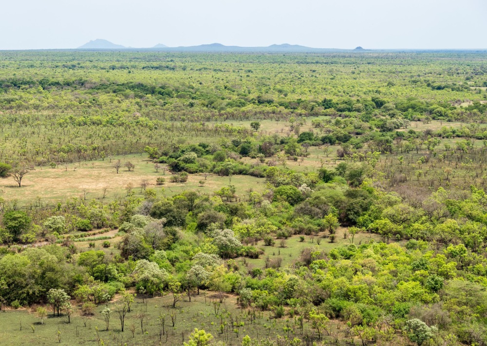 The landscape of Boma and Badingilo National Parks, South Sudan, courtesy African Parks/© Marcus Westberg