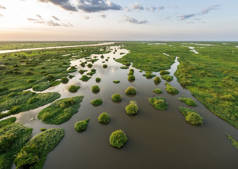 The landscape of Boma and Badingilo National Parks, South Sudan, courtesy African Parks/© Marcus Westberg