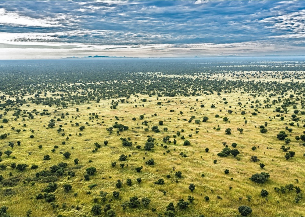 The landscape of Boma and Badingilo National Parks, South Sudan, courtesy African Parks/© Marcus Westberg