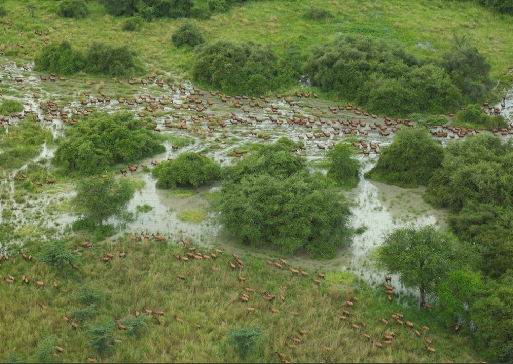 The project landscape, courtesy of African Parks/© Mike Fay