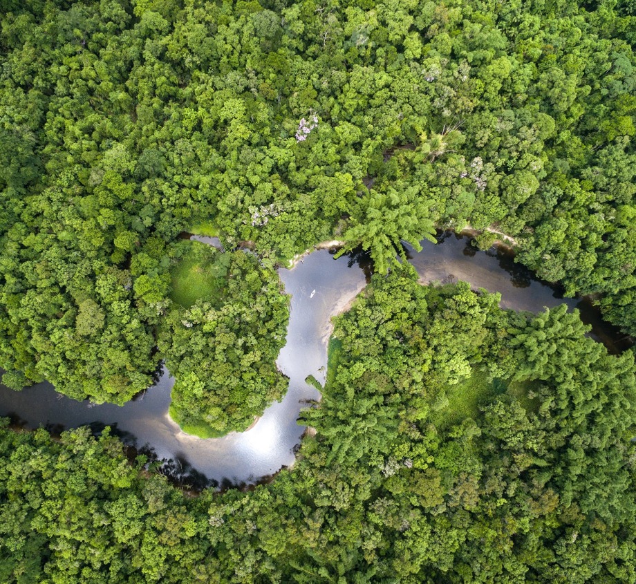 Brazilian Amazon Rainforest, photo by Gustavo Frazao