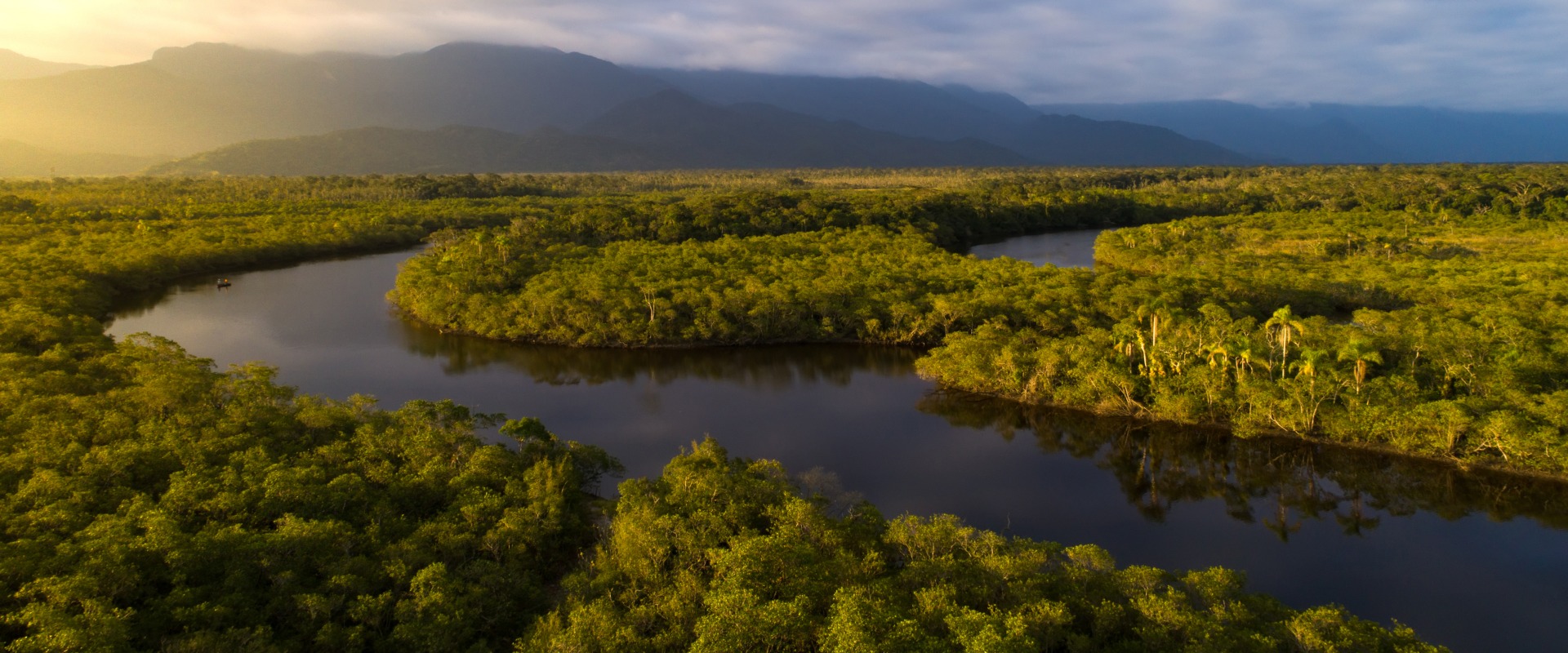 The Brazilian Amazon rainforest