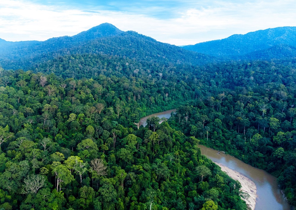 Gunung Aais Mountain, by Amir Isqandar/Panthera