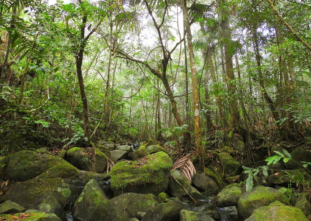 One of the Valleys in Kulur Village, photo courtesy Burung Indonesia and BirdLife International