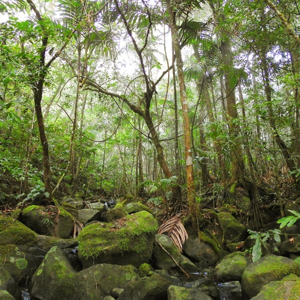 One of the Valleys in Kulur Village, photo courtesy Burung Indonesia and BirdLife International