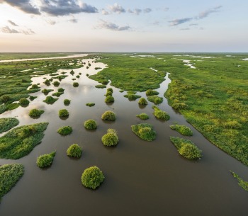 The landscape of Boma and Badingilo National Parks, South Sudan, courtesy African Parks/© Marcus Westberg