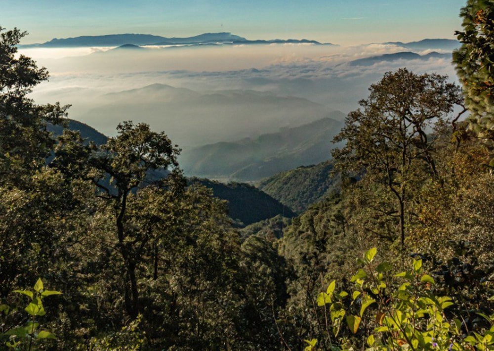 Landscape of Sierra de Cacoma Mexico, courtesy Pronatura Mexico