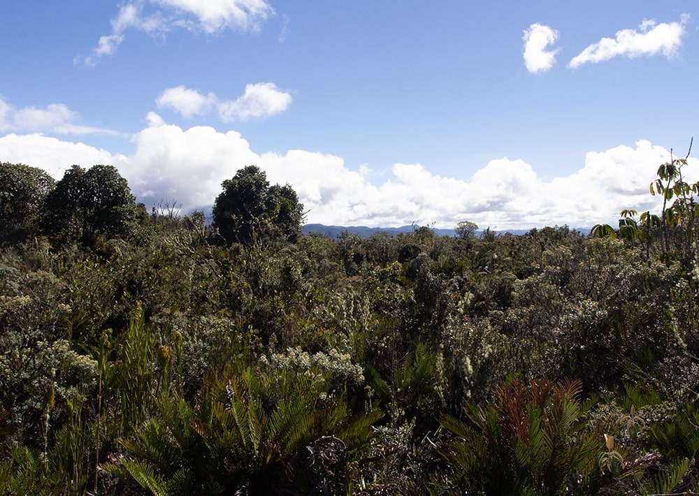The landscape of the Cerro Negro project site in Colombia, by Fundación Suyusama