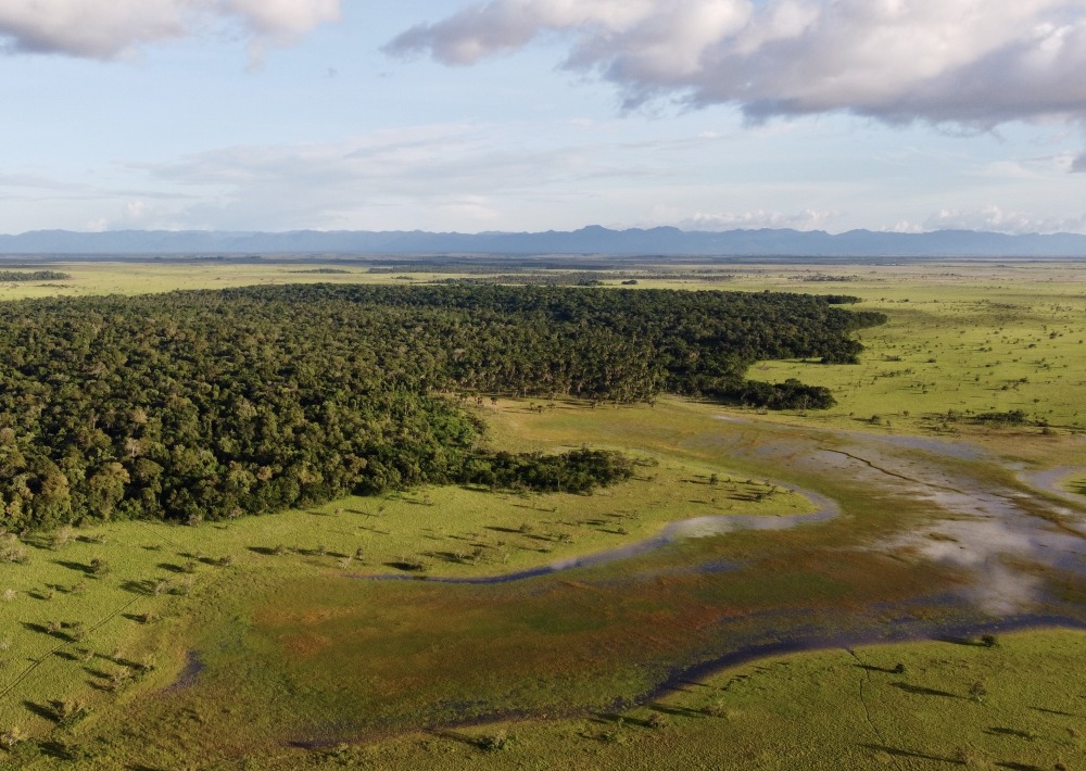 Rupununi Bush Island Corridor photo courtesy of Conservation International
