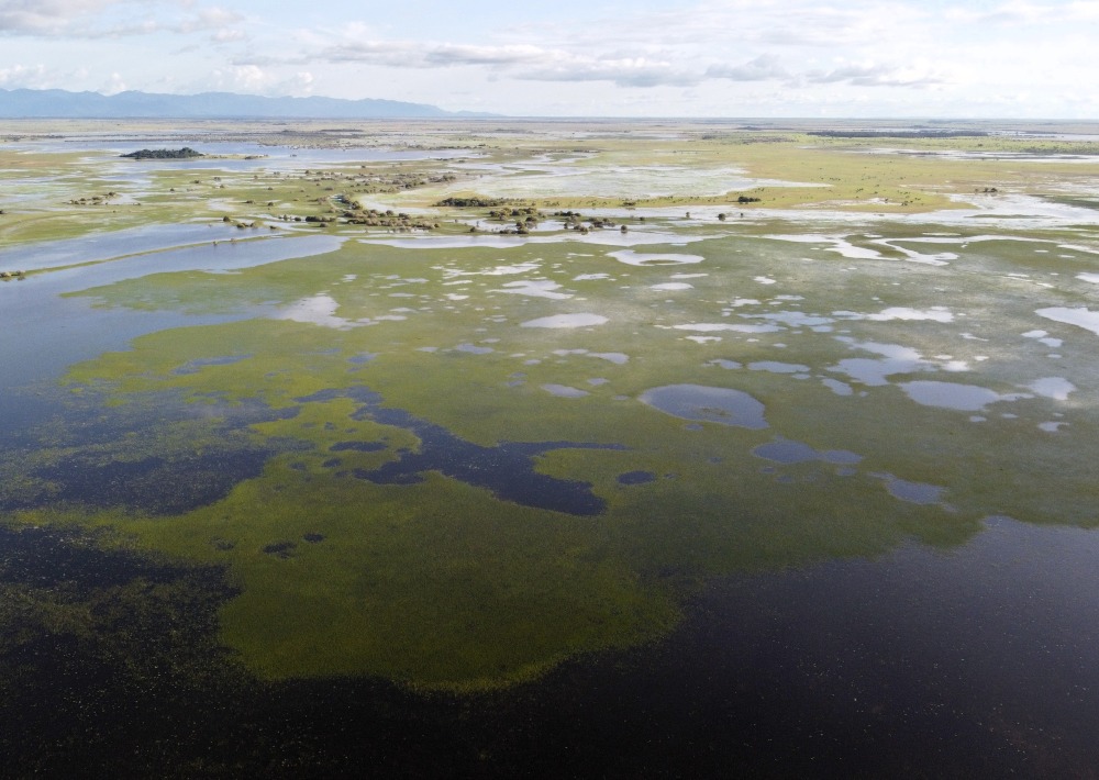 Rupununi Wetlands photo courtesy of Conservation International