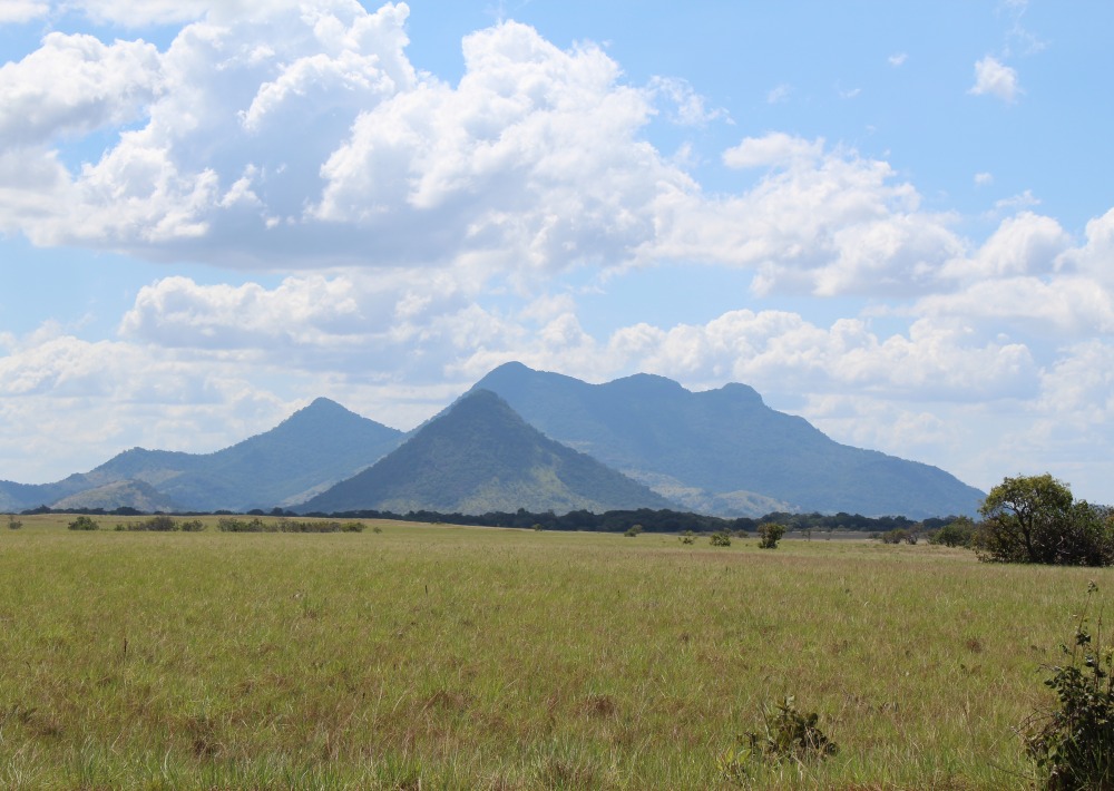 Foothills of the Kanuku Mountains photo courtesy of Conservation International