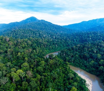 Gunung Aais Mountain, by Amir Isqandar/Panthera