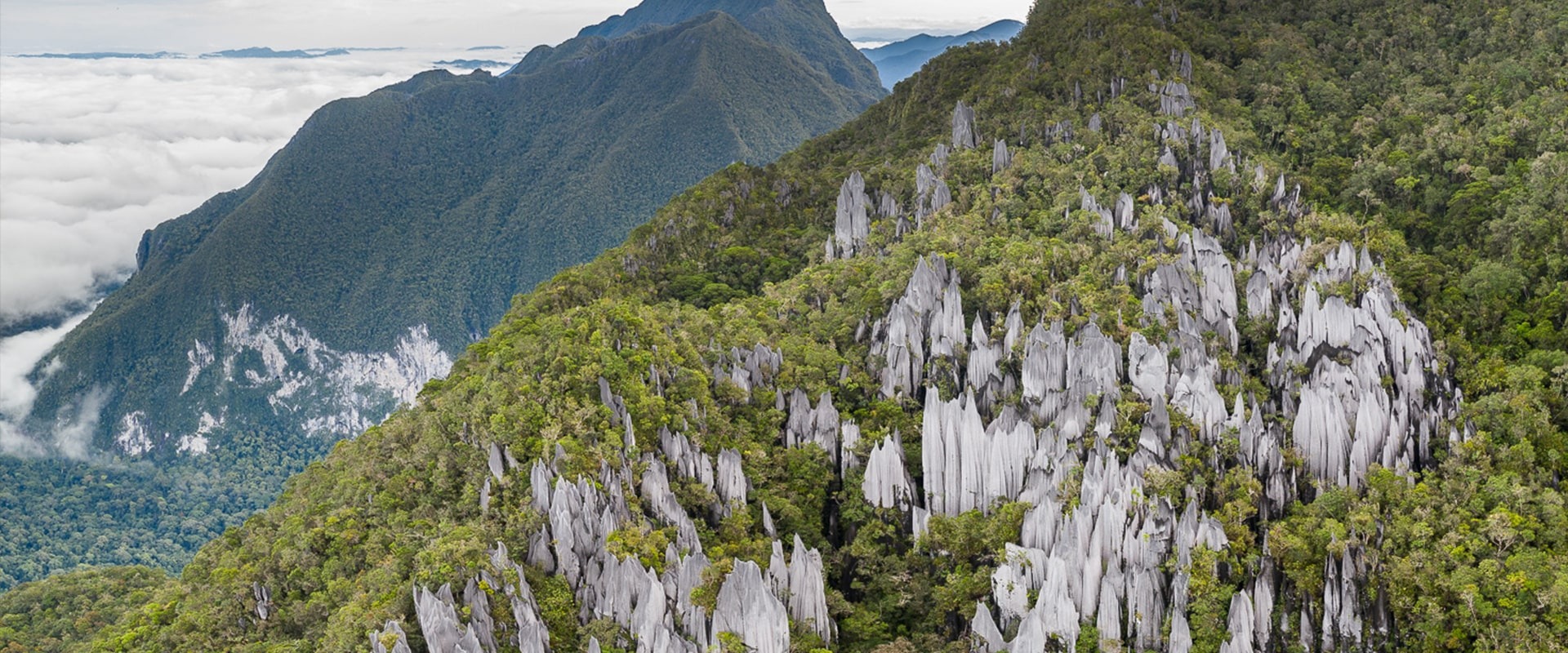 Gunung Api-Mulu National Park-Sarawak, Borneo, by Chien Lee