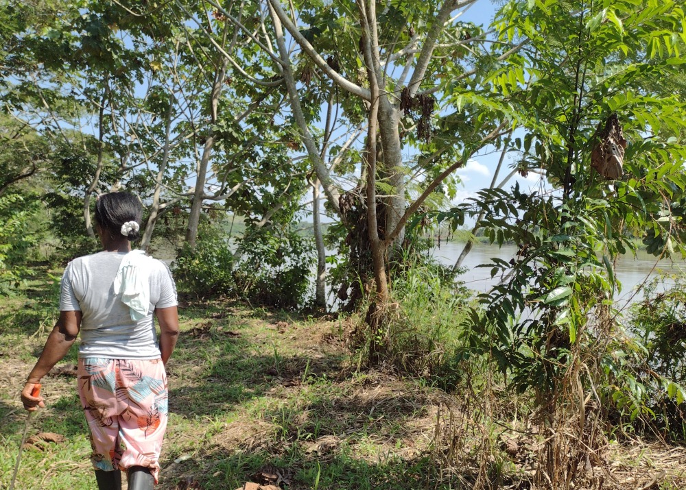 One of the local women walking through the forest to show the progress of trees growing. Photo courtesy of Fundación Biodiversa.