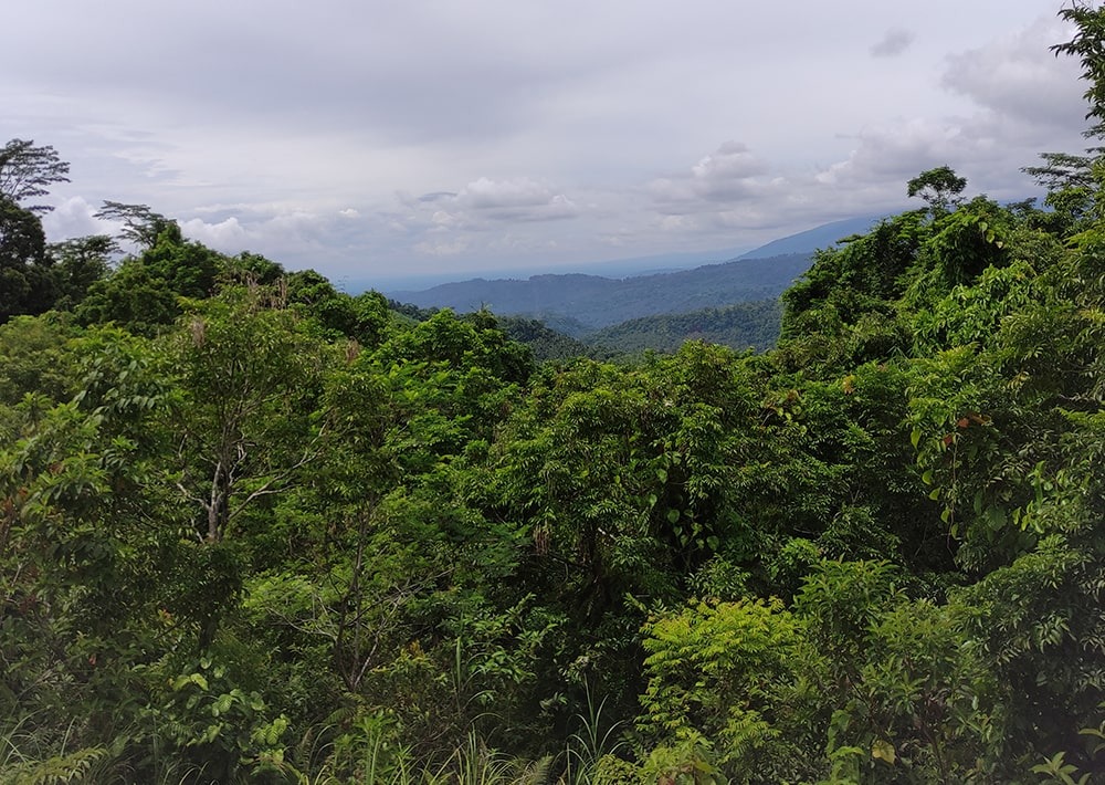 Landscape of Mindoro, Philippines, courtesy of CCI-PH