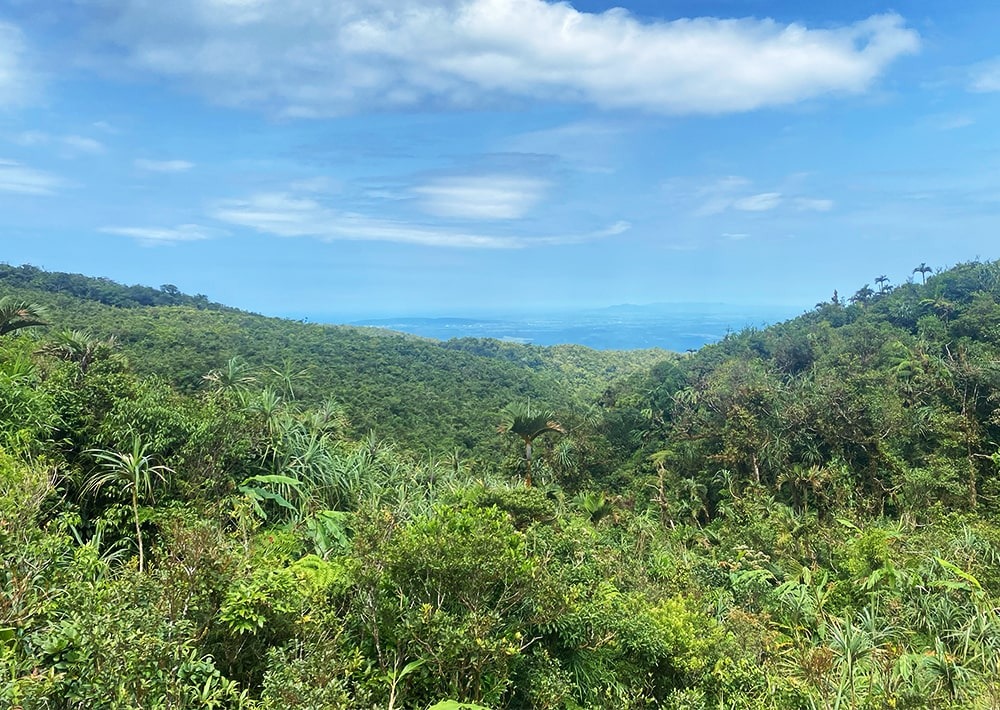 Landscape of Mindoro, Philippines, courtesy of CCI-PH