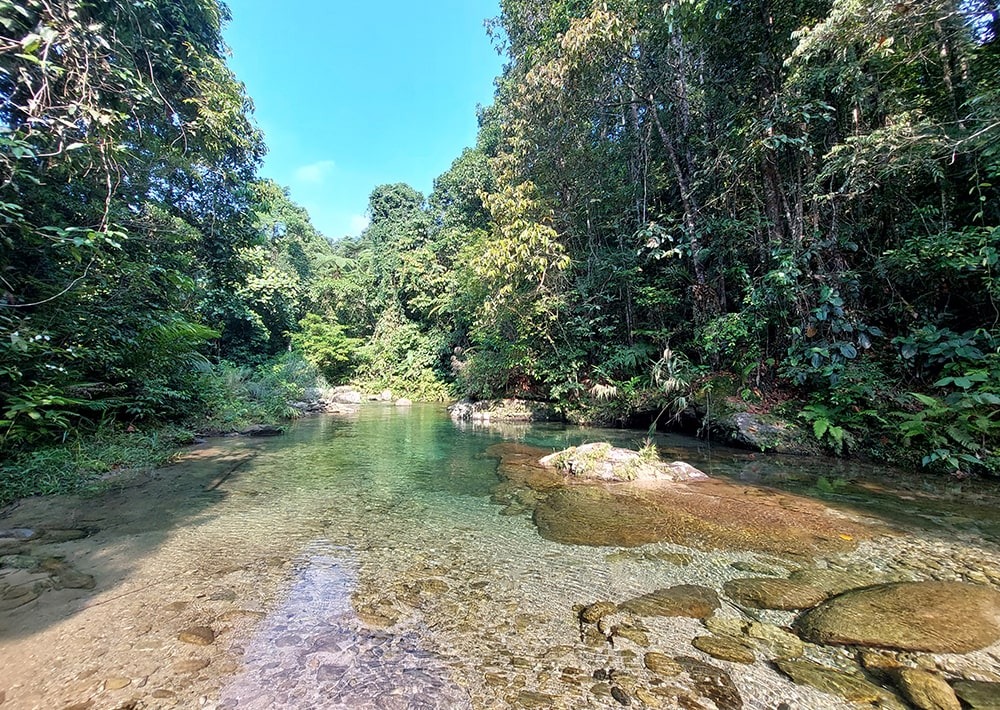 Pristine river in Mindoro, Philippines, courtesy of CCI-PH