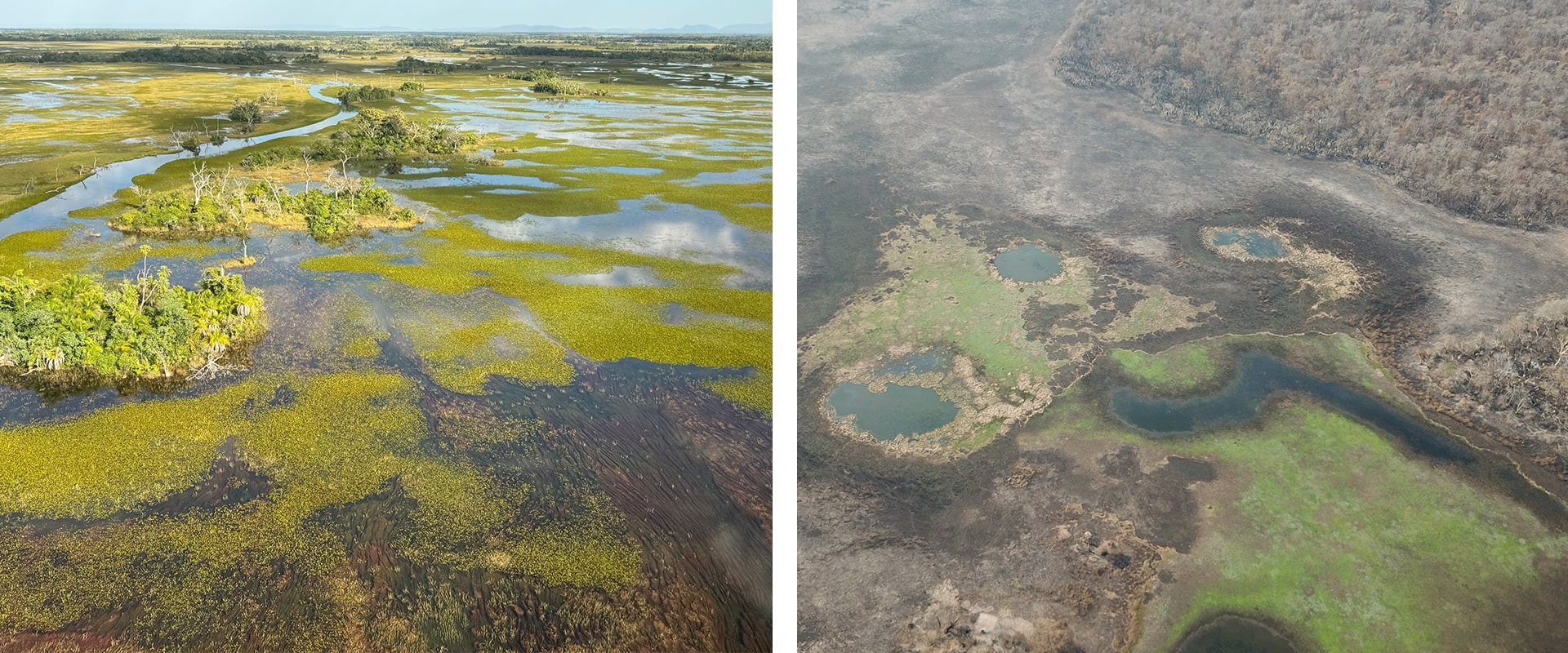 Fires are burning even the wetlands of Brazil's Pantanal. Photos courtesy Onçafari