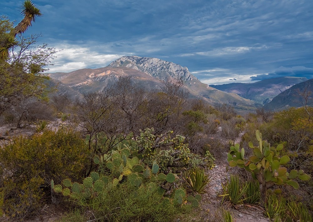 Landscape in Nuevo León, Mexico, by Antonio Hernandez