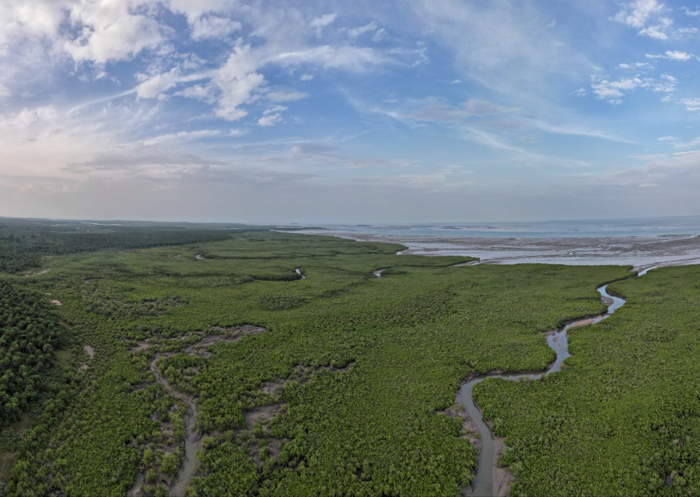 Mangroves of Bijagos in Guinea-Bissau, by Antoine Marchal