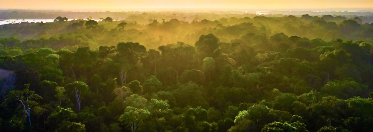 Brazilian Amazon, state of Amazonas, by Photo Spirit