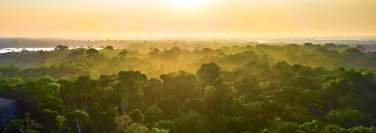 Brazilian Amazon, state of Amazonas, by Photo Spirit