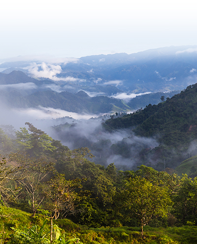 The Chocó Rainforest in Ecuador, by Ecuadorpostales