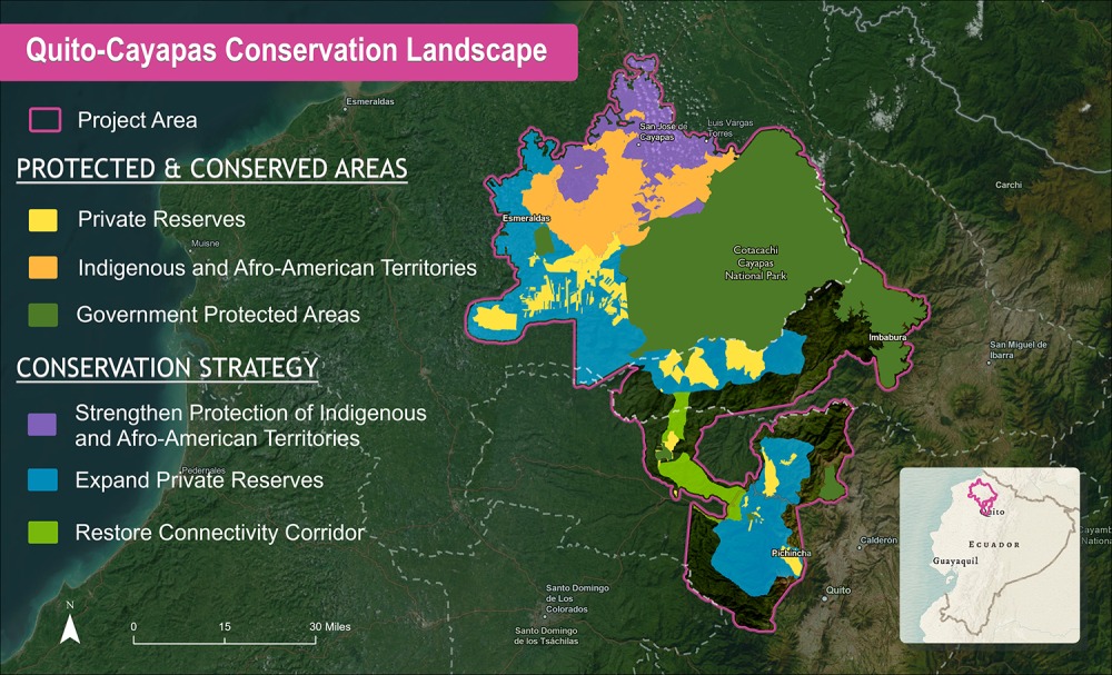 The Quito-Cayapas Landscape proposed project areas comprise 1,235,527 acres of lowland rainforest and cloud forest.