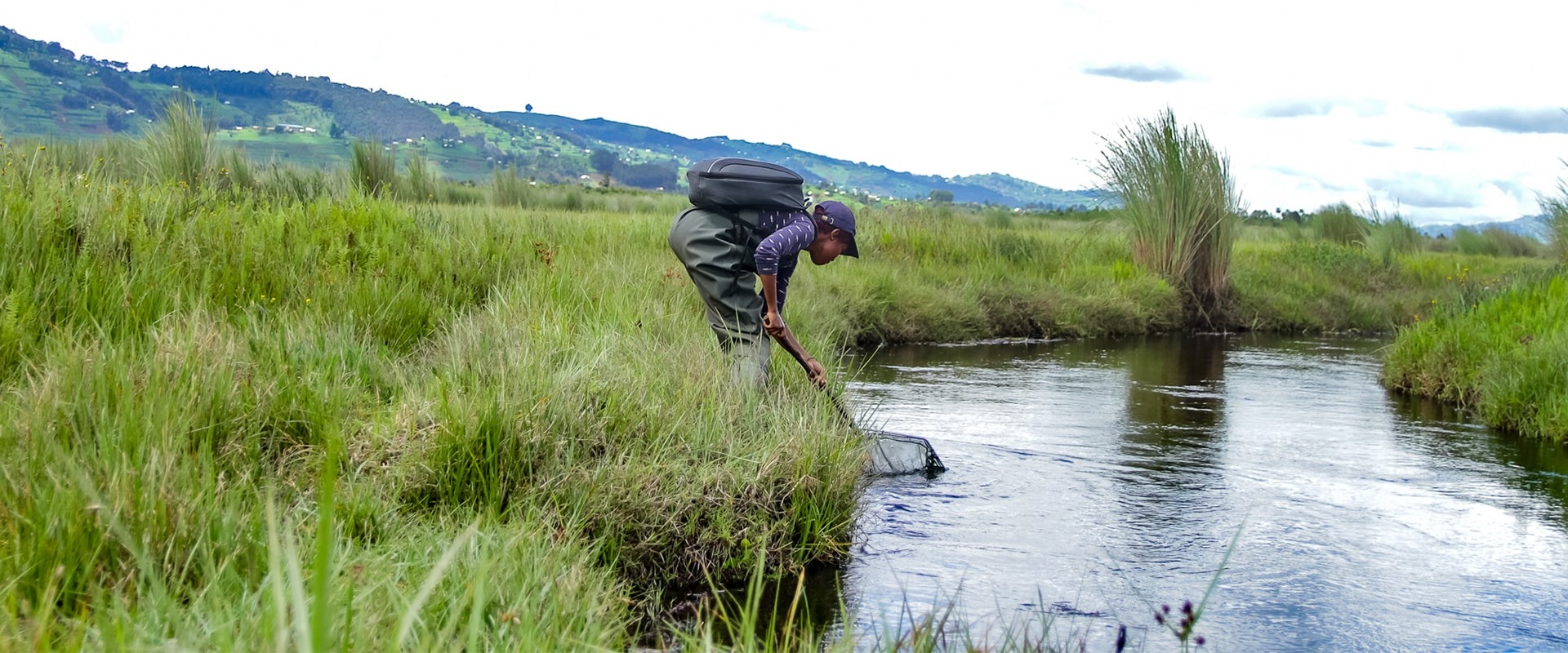 Biodiversity Survey of Rugezi Marsh in Rwanda, courtesy of RWCA