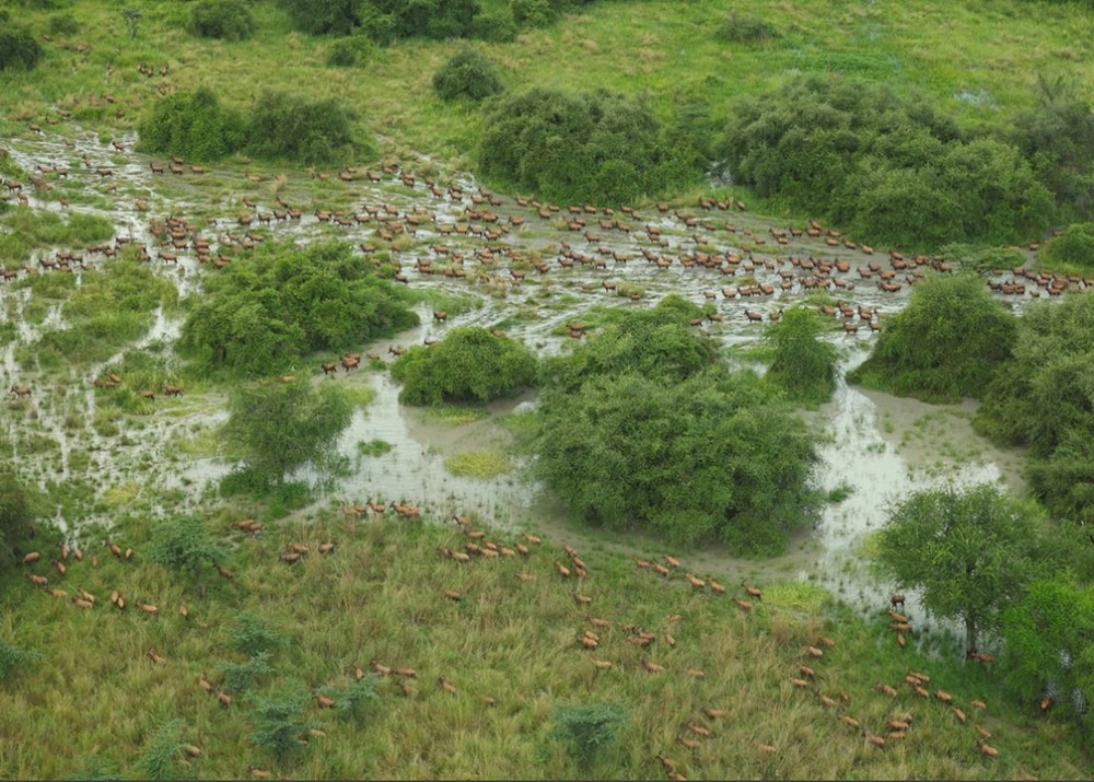 The project landscape, courtesy of African Parks/© Mike Fay