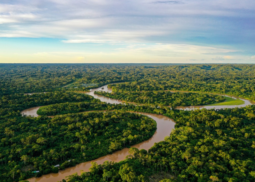 Amazon Rainforest, by Panga Media