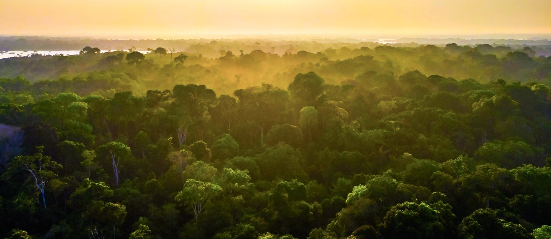 Brazilian Amazon, state of Amazonas, by Photo Spirit