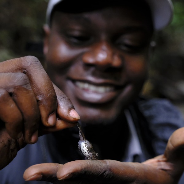 Dr. Caleb Ofori-Boateng, founder of HERP Conservation Ghana