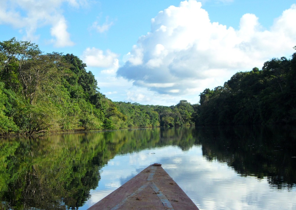 The Marañon River, courtesy of Rainforest Foundation US