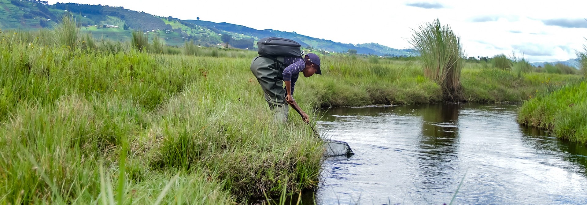 Biodiversity Survey of Rugezi Marsh in Rwanda, courtesy of RWCA