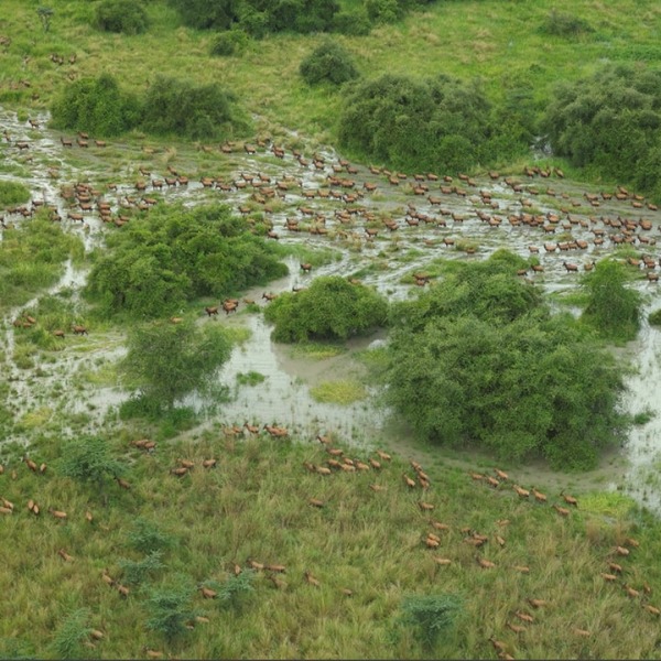 The project landscape, courtesy of African Parks/© Mike Fay
