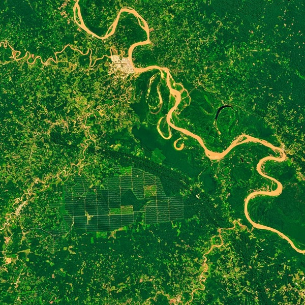 Deforestation Satellite Monitoring-sm-shutterstock_2410849093-min